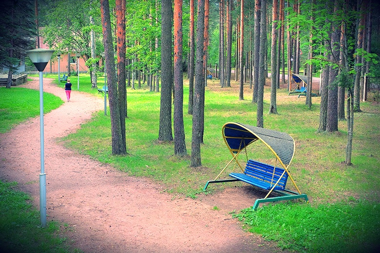 Фото Комарово