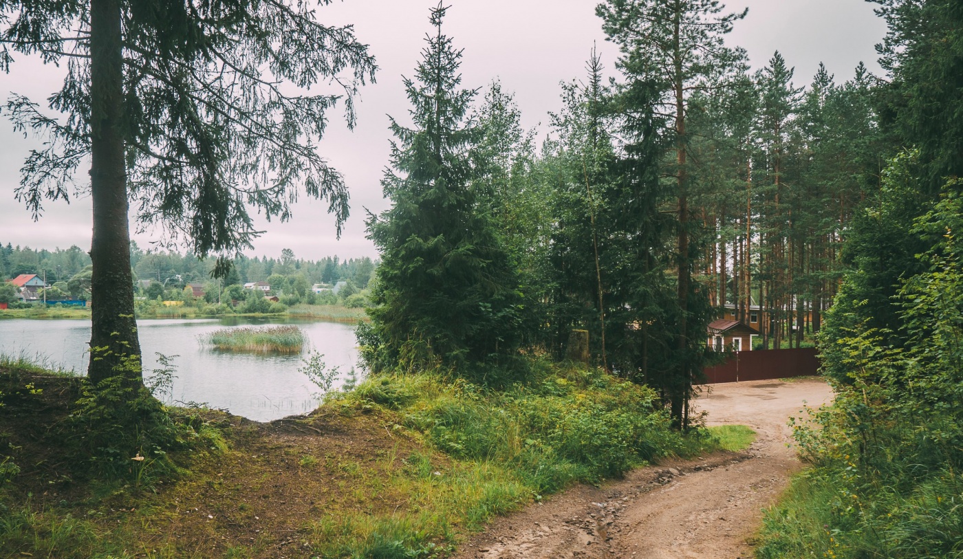 Фото Пикник