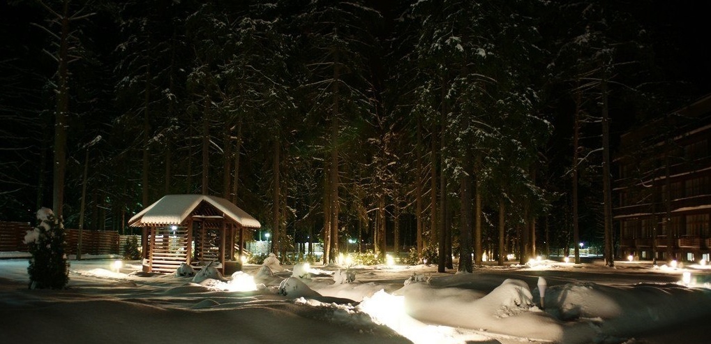 Фото Azimut Парк Отель&Спа Репино