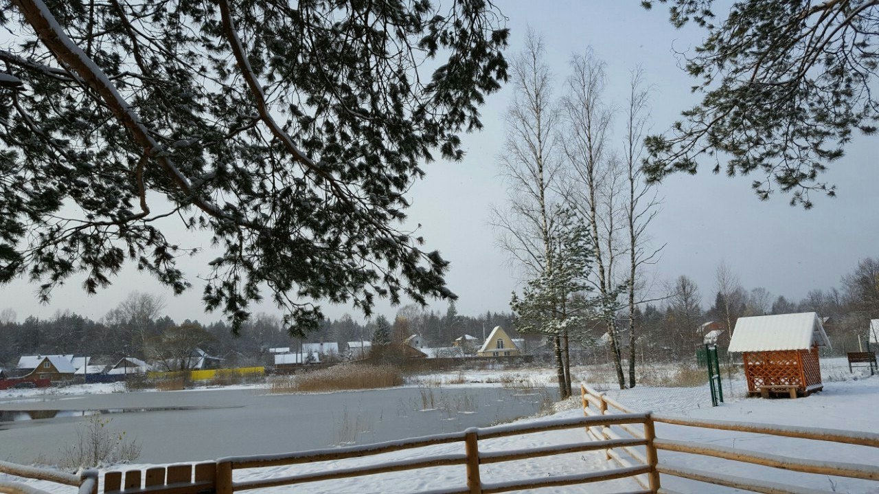 Фото Пикник