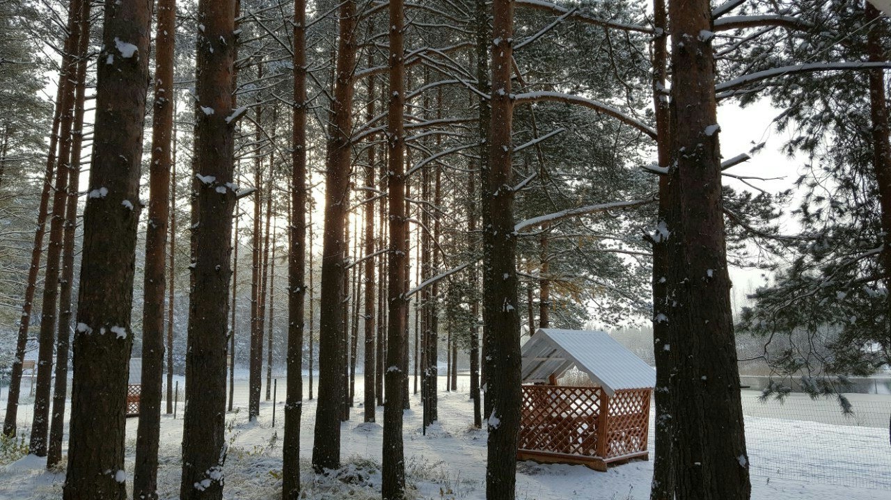 Фото Пикник