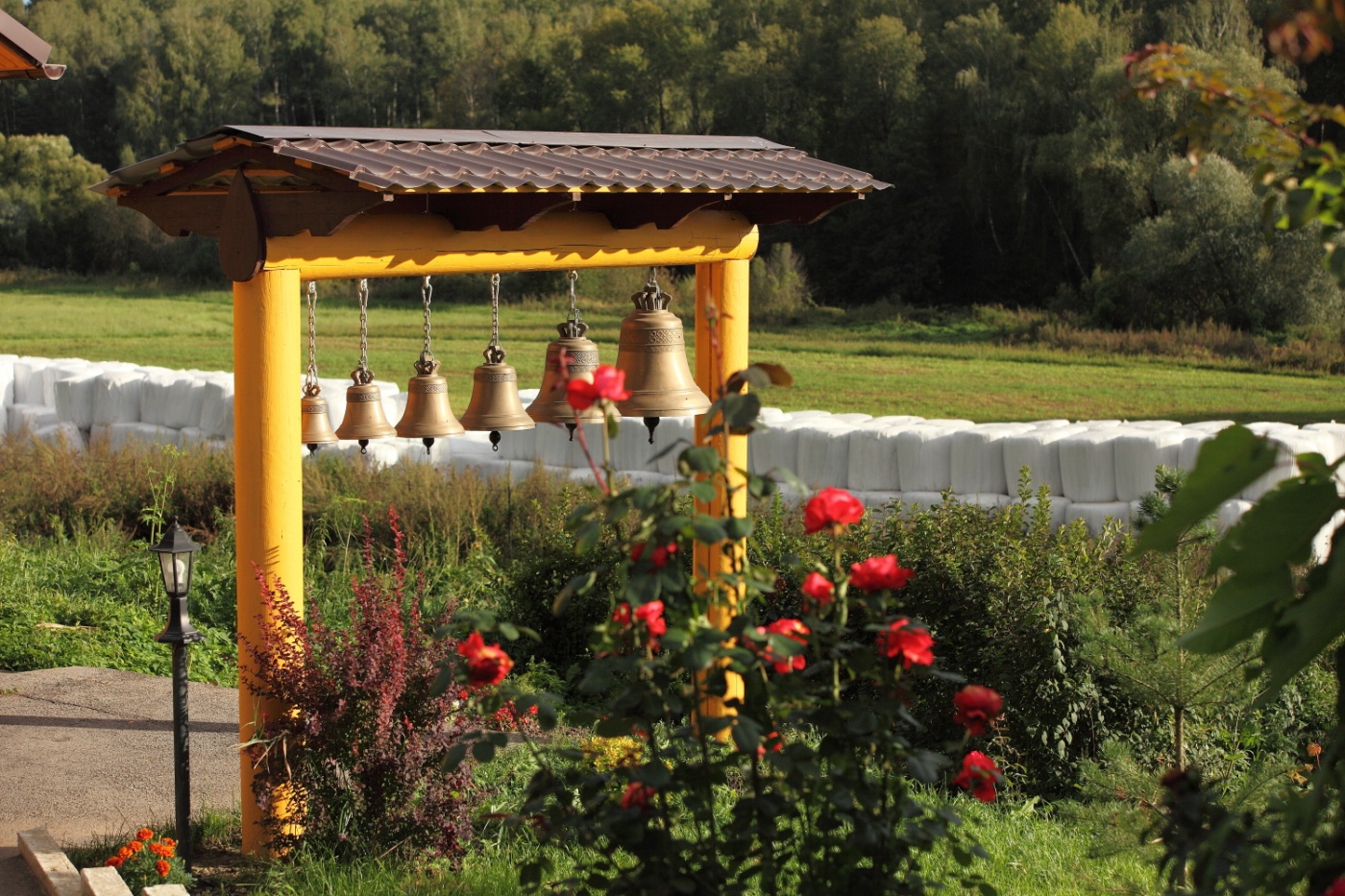 Фото Лукино