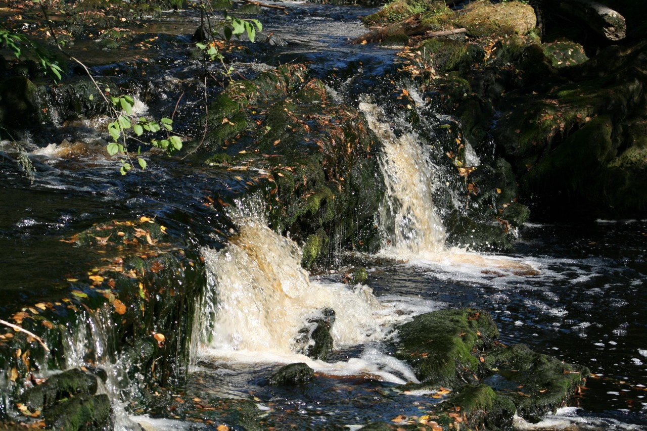 Фото Гостиница Питкяранта
