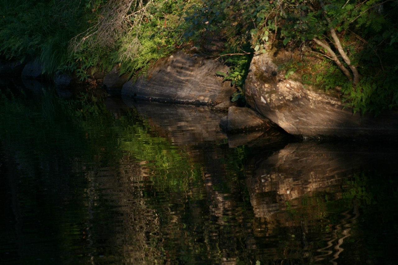 Фото Гостиница Питкяранта