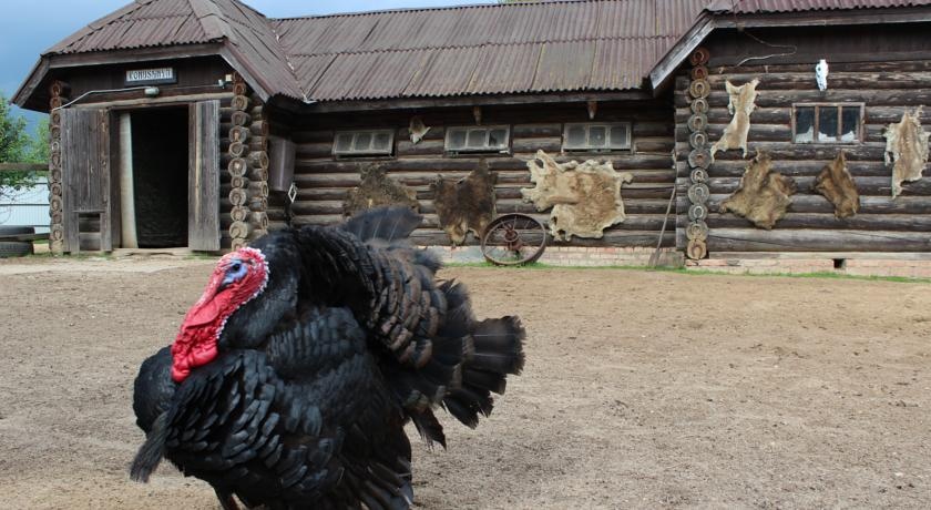 Фото Dream Village