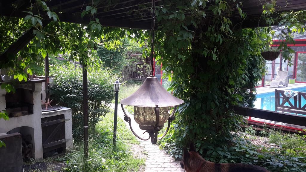 Фото Dream Village