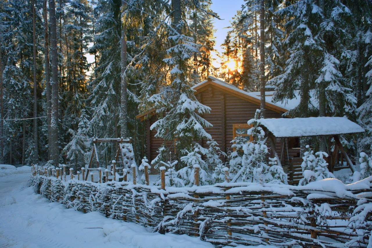 Фото Шишки на Лампушке