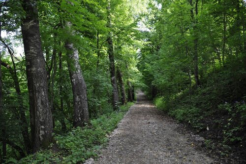Дом отдыха Староладожская дача в Старой Ладоге