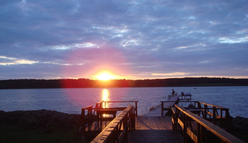 Фото Белая цапля