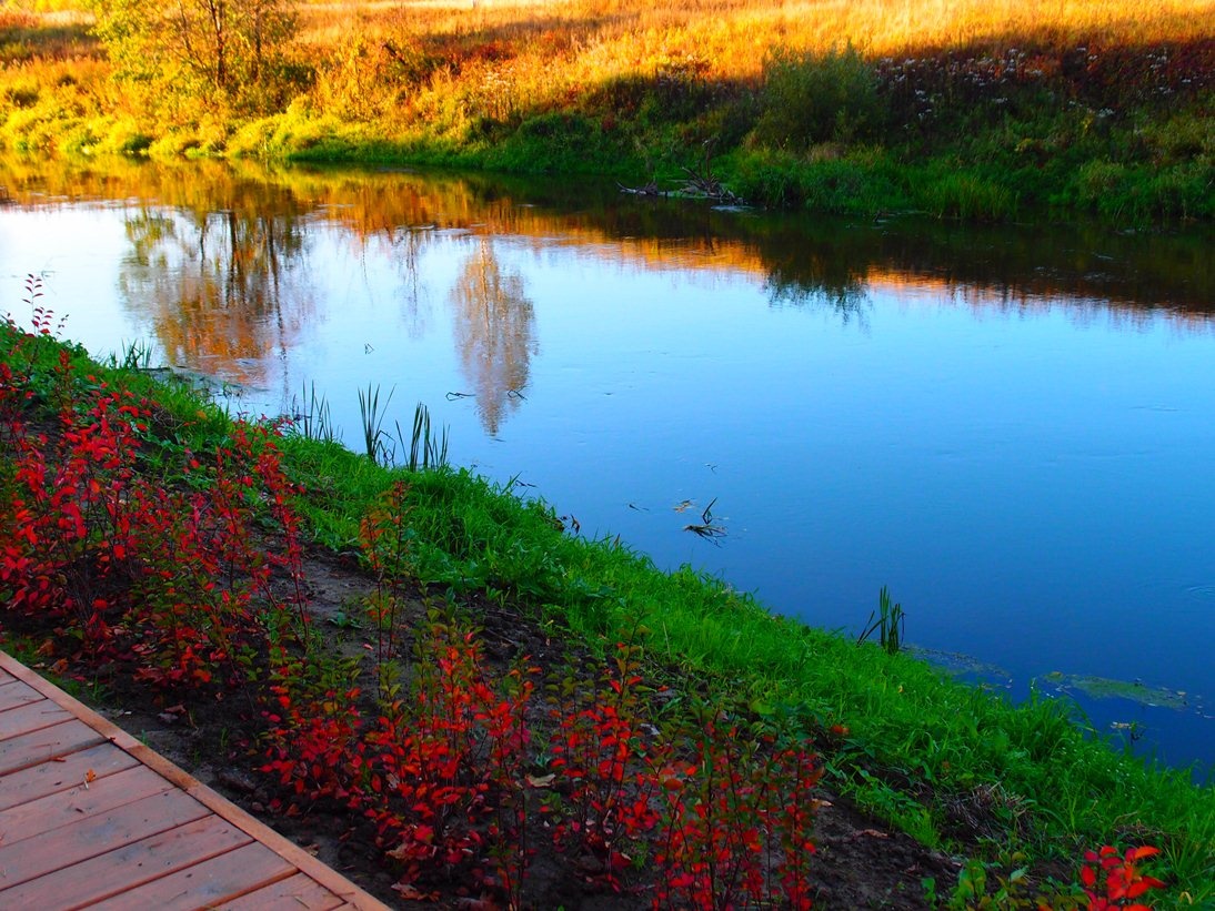 Фото Санаторий работников органов прокуратуры РФ Истра