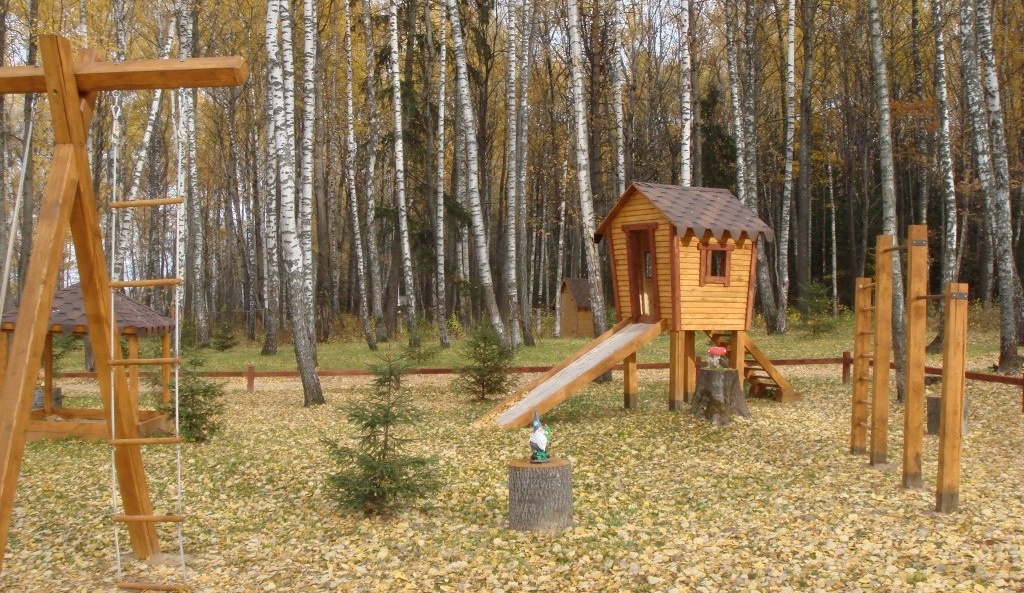 Фото Белая цапля