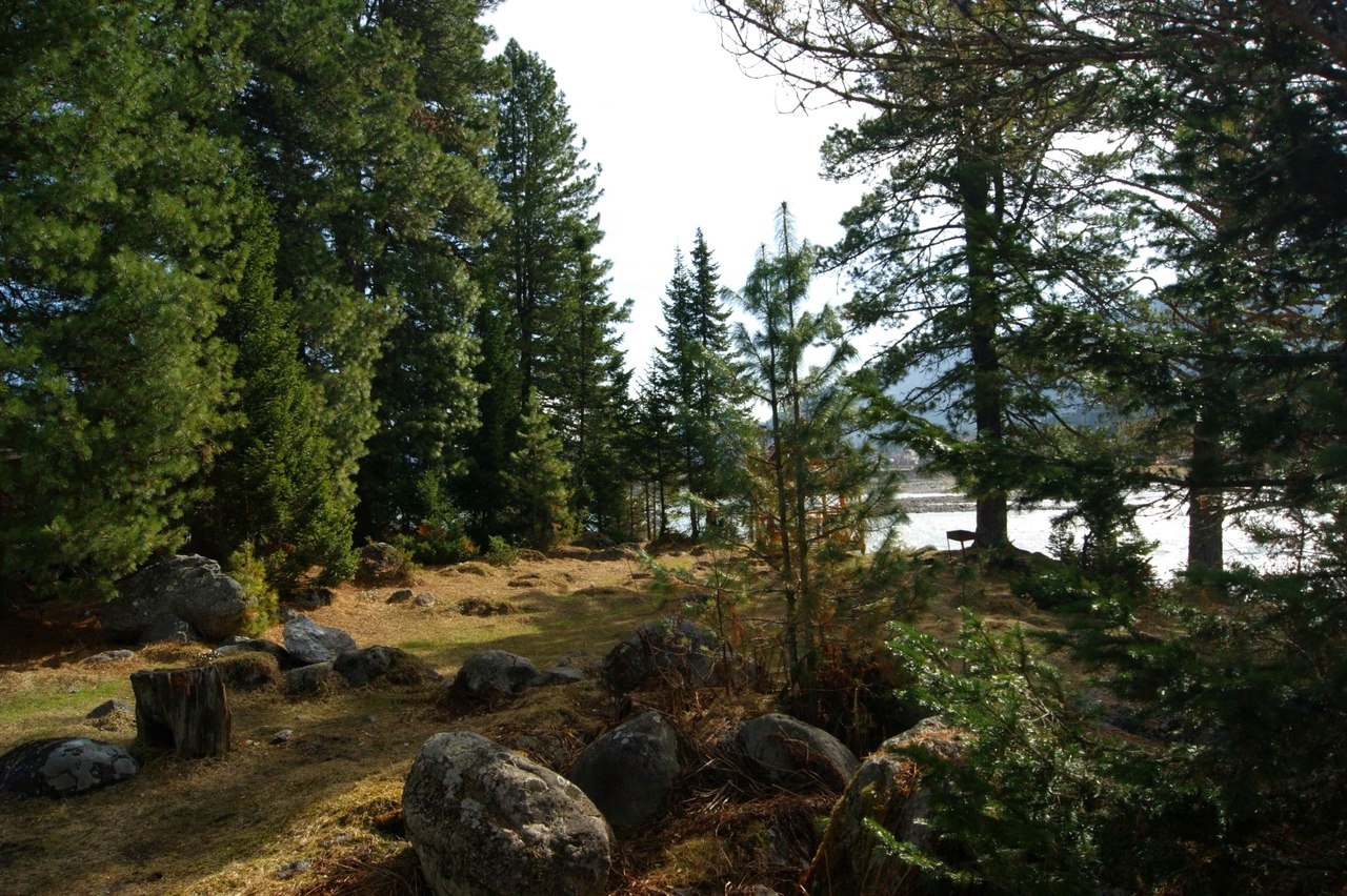 Фото Гостиница Артыбаш