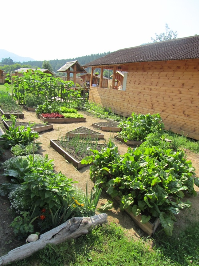 Фото Susha Travel