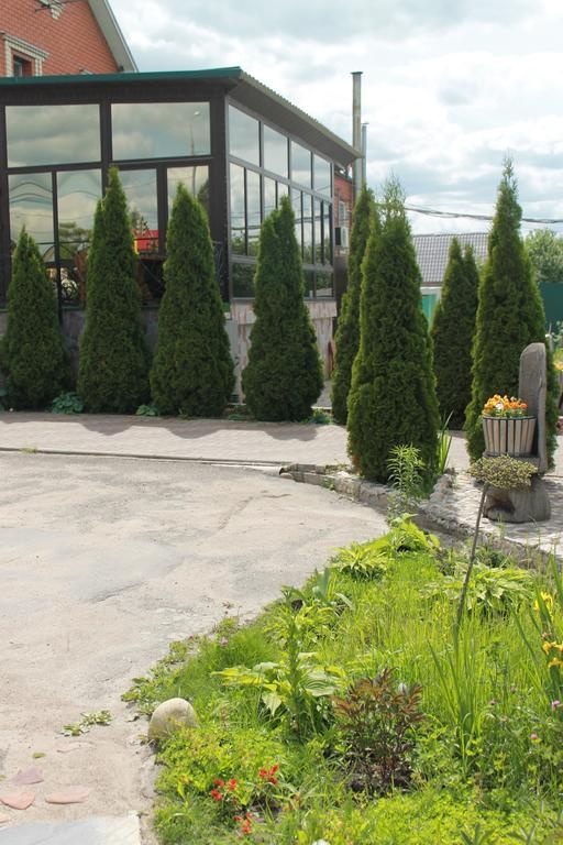 Фото Колесо