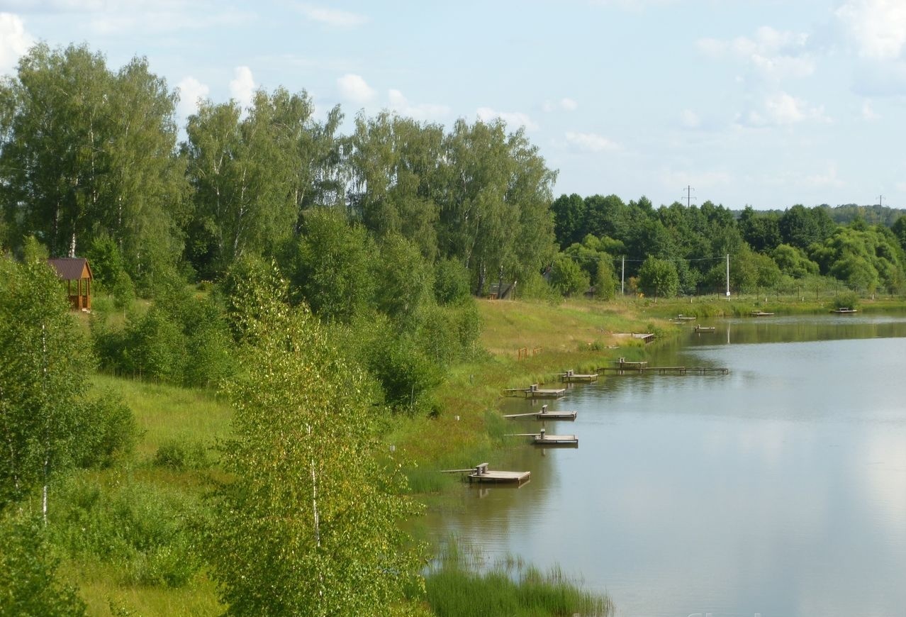 Фото Алёшкины пруды