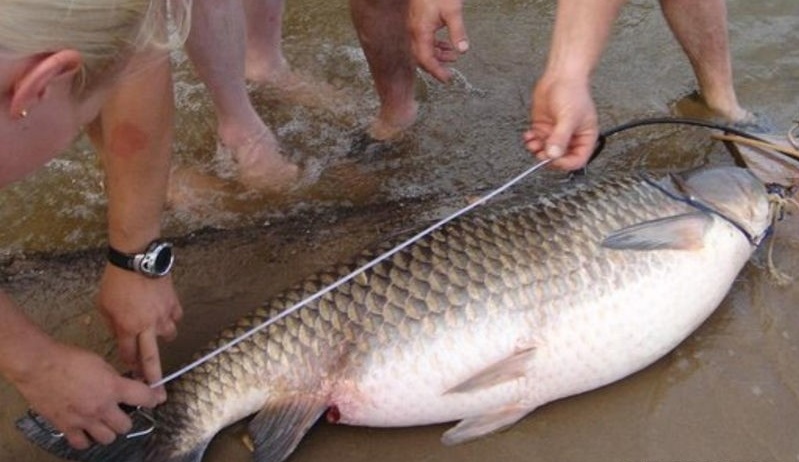 Фото Митричево