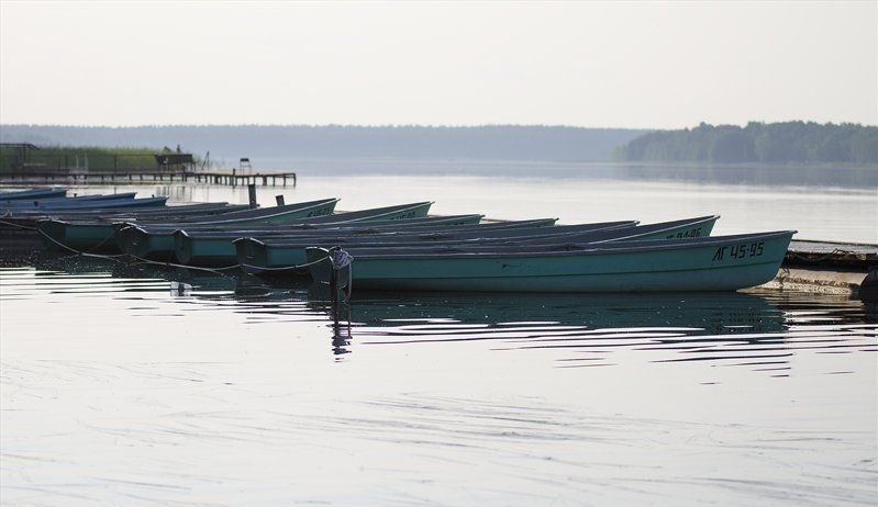 Фото Аврора