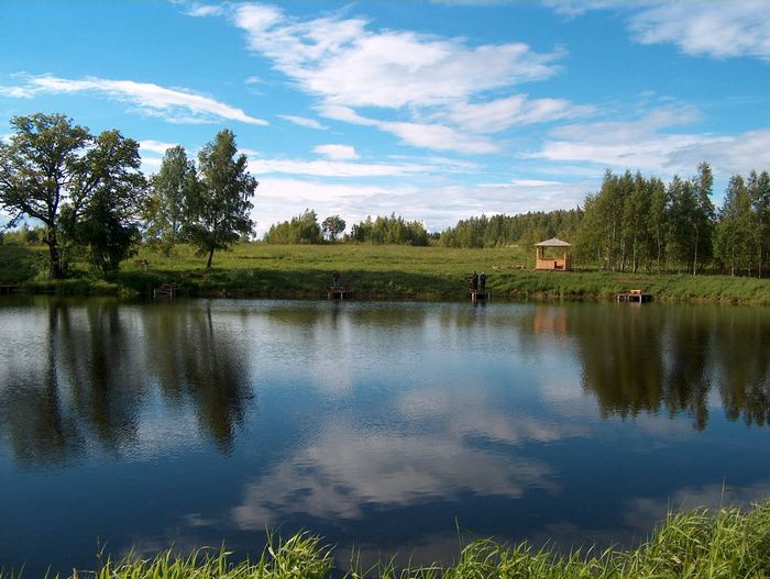 Фото Сафари Парк