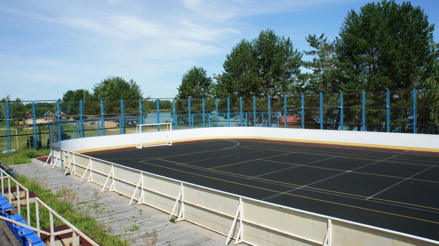 Фото Кукушка