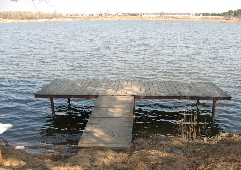 Фото Кукушка