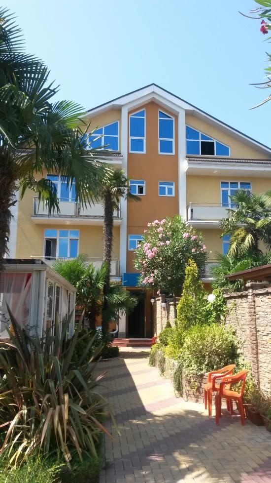 Фото Дельфин