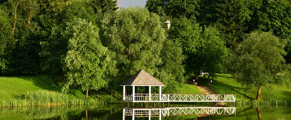 Фото Планерное