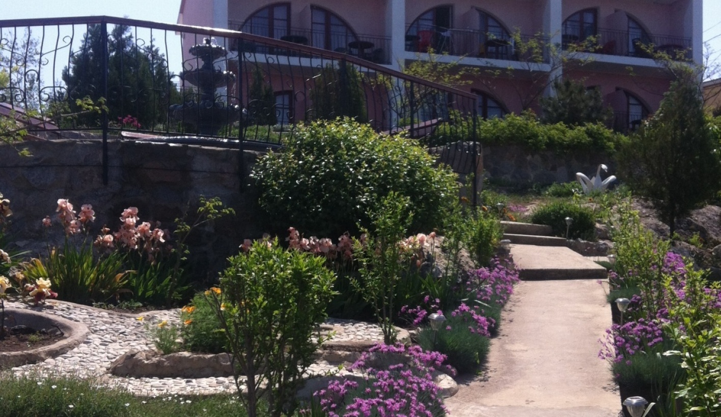 Фото Регата