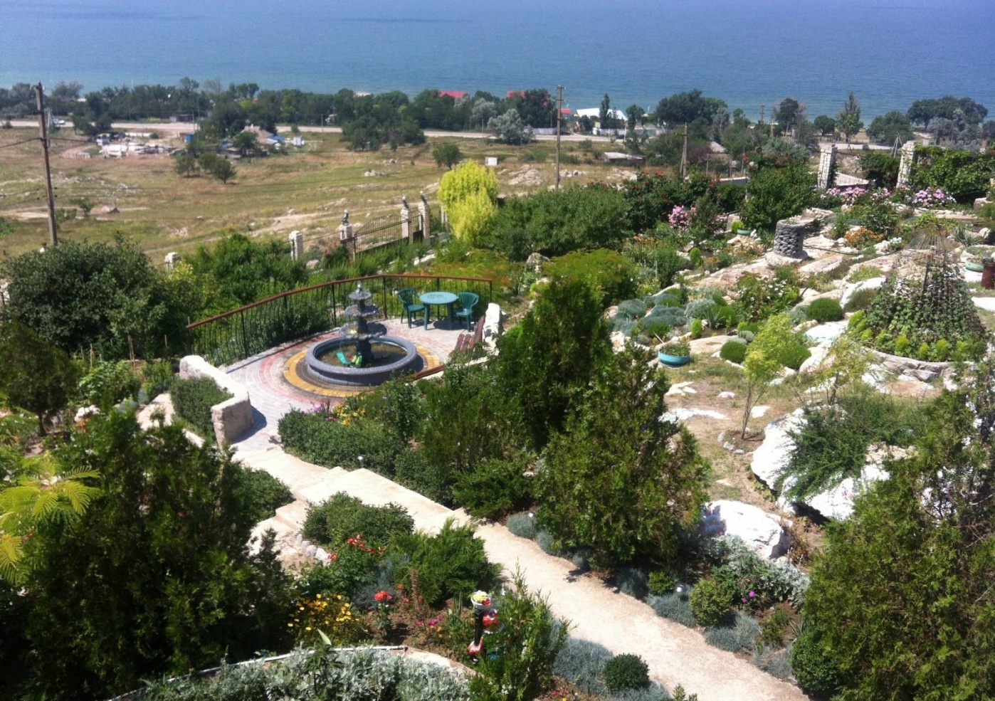 Фото Регата