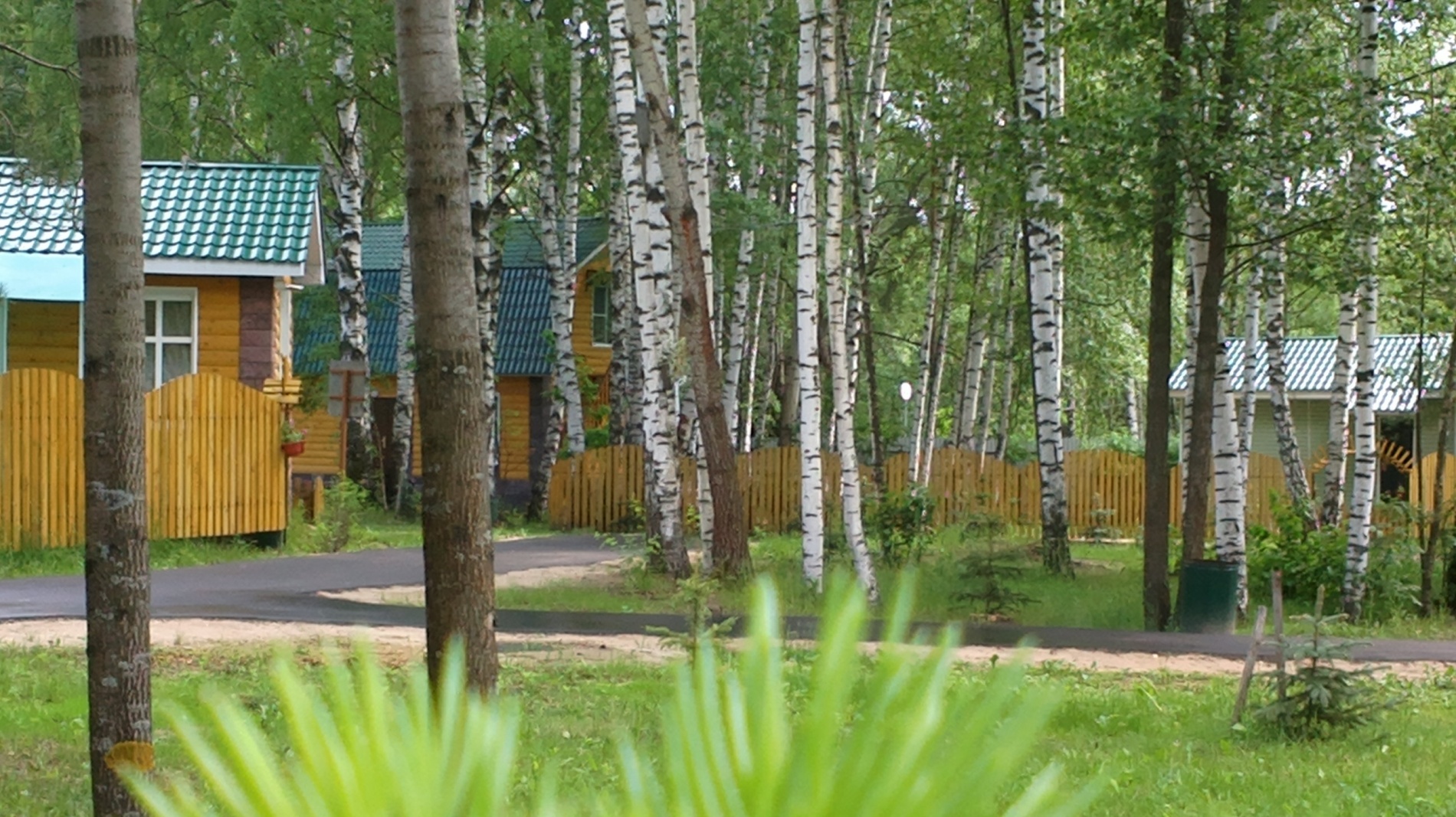 Фото На Ватоме