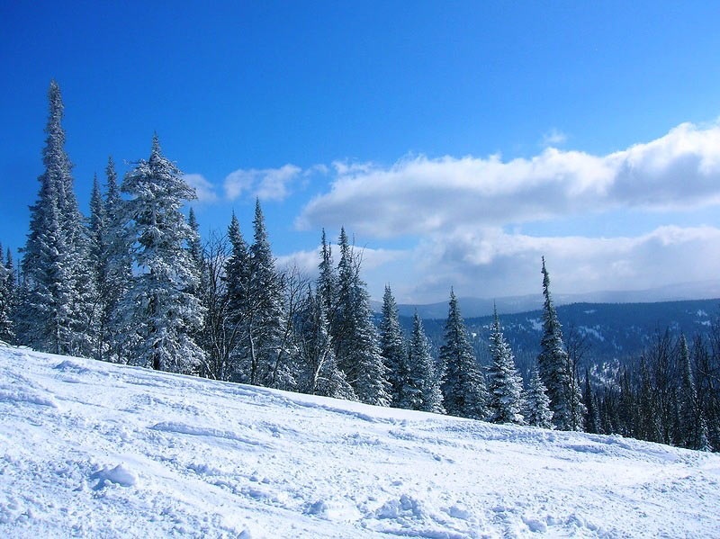 Фото Зима-лето