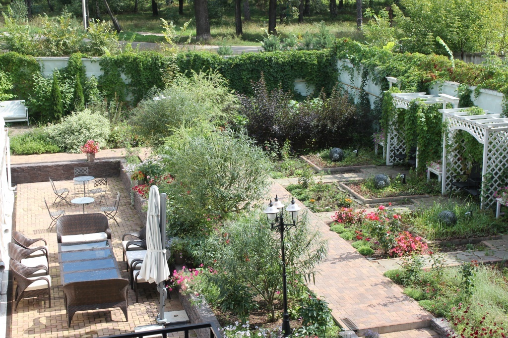 Фото Боровница