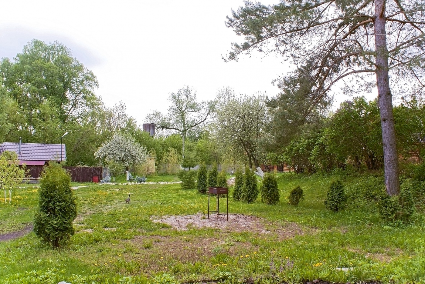 Фото Окский берег