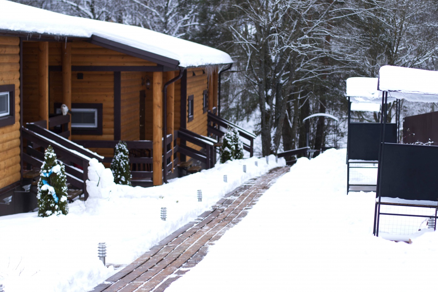 Фото Три медведя