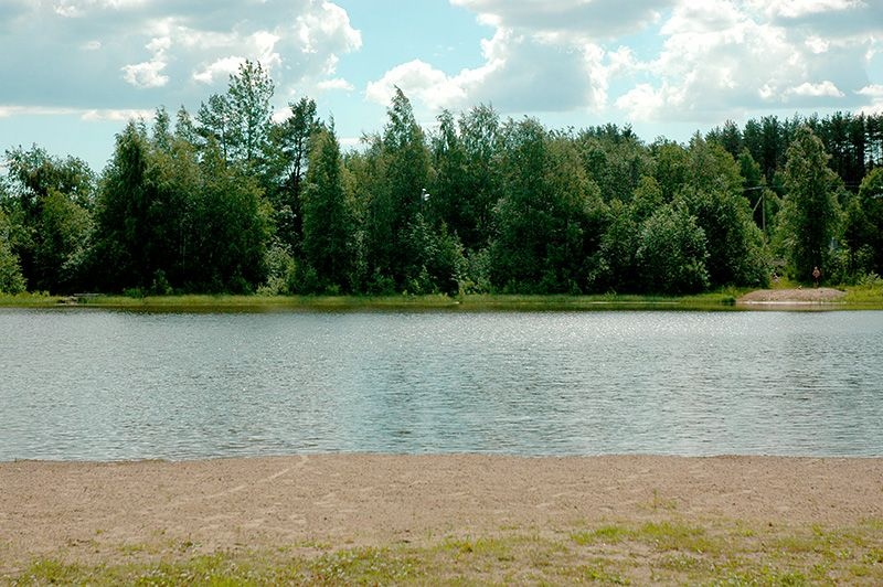 Фото Снежный