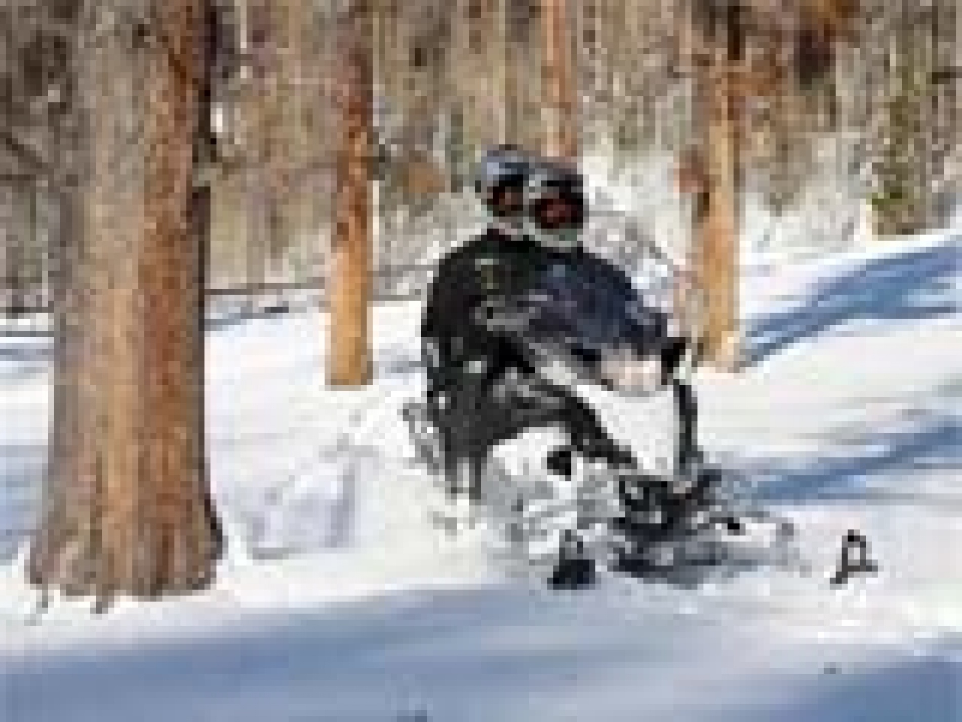 Фото Sosnovoe family club