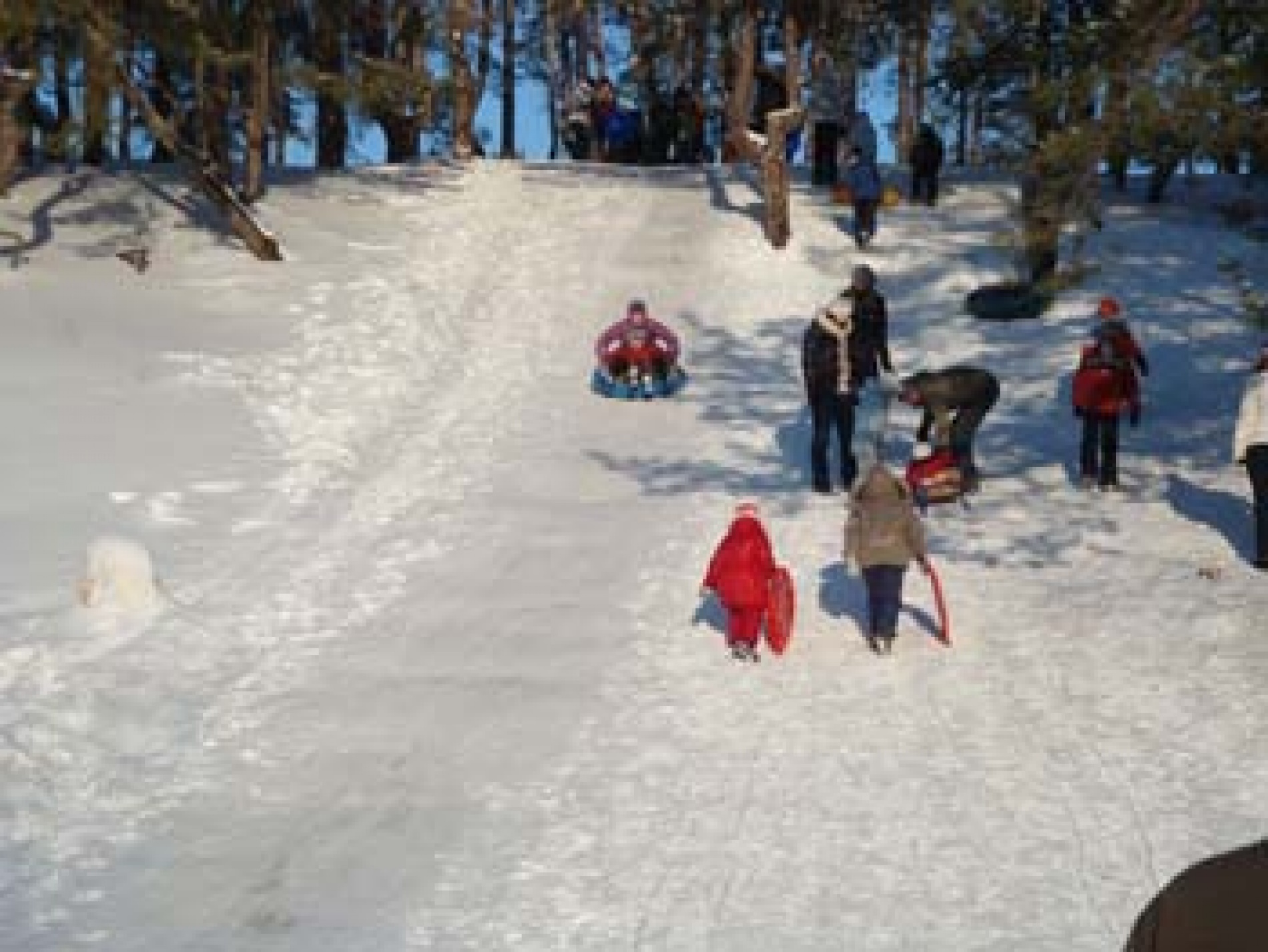 Фото Sosnovoe family club