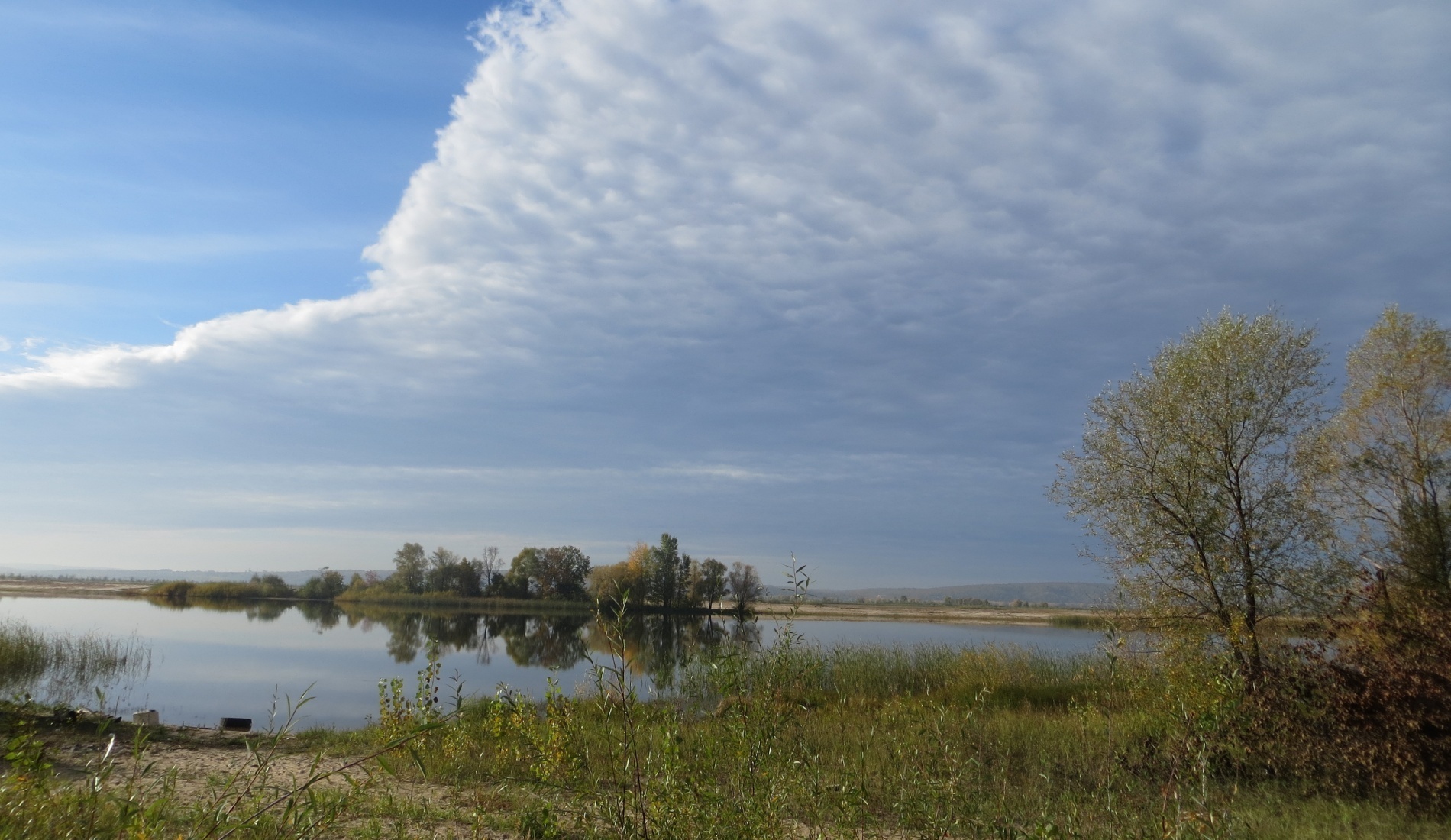 Фото Займище