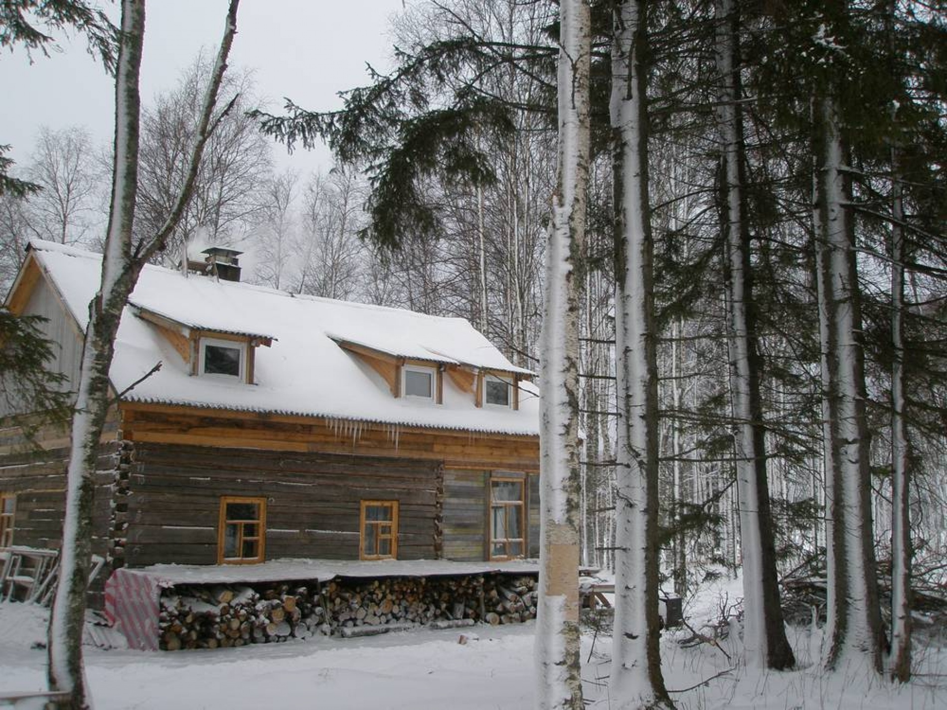 Фото Тамбицы