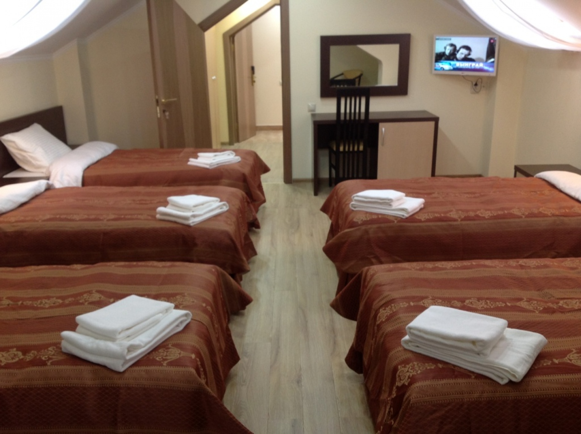 Фото Фламинго