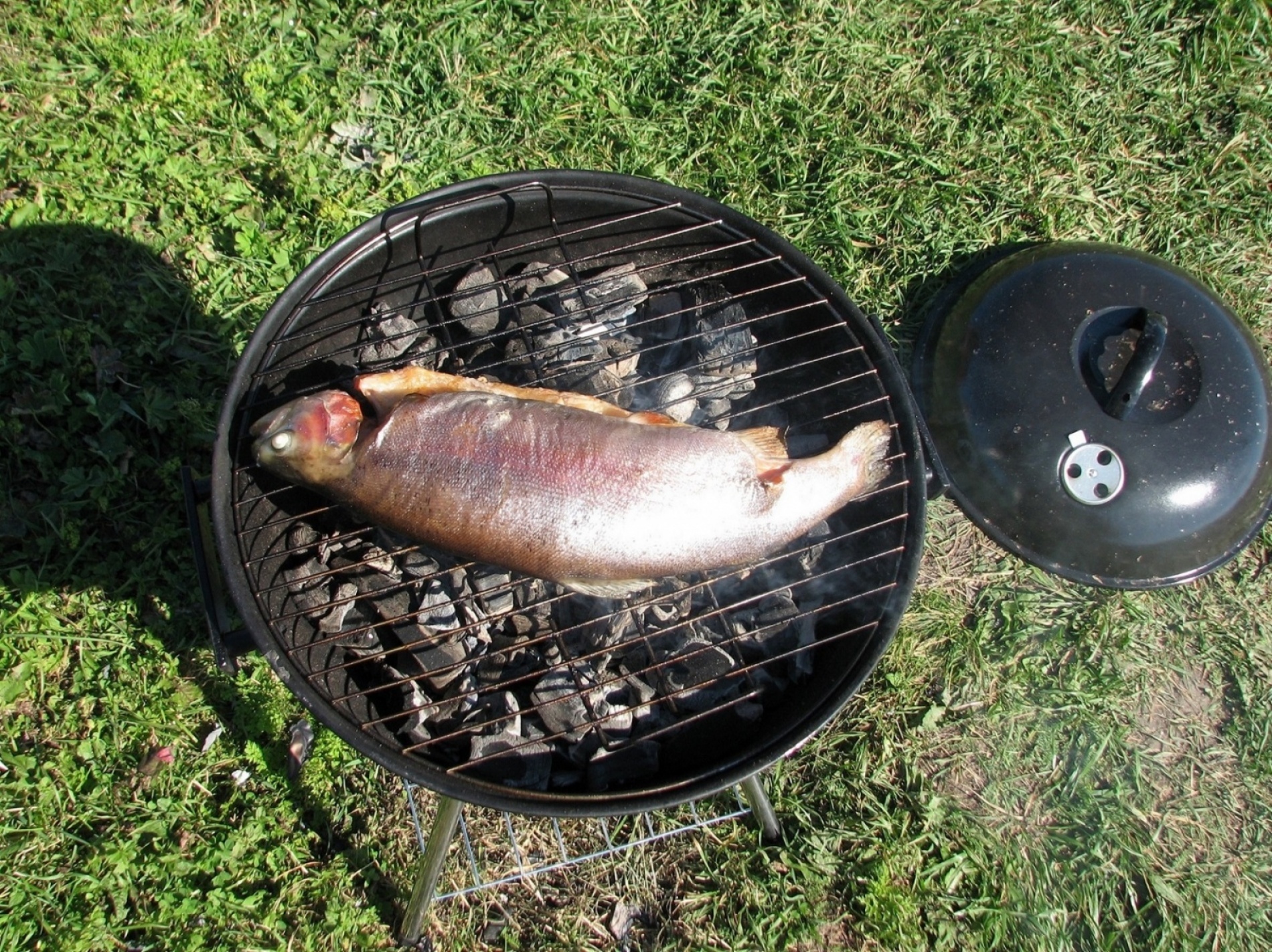 Фото У плотника