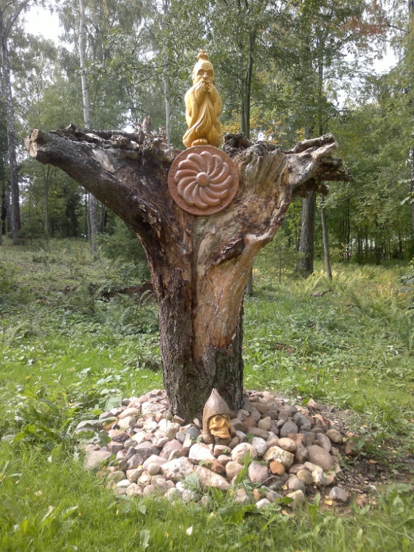 Фото Берёзовая роща