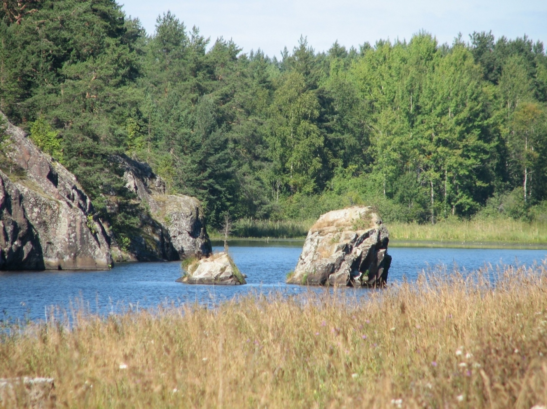 Фото У плотника