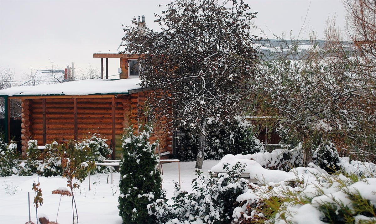 Фото АЛЕКСАНДРиЯ