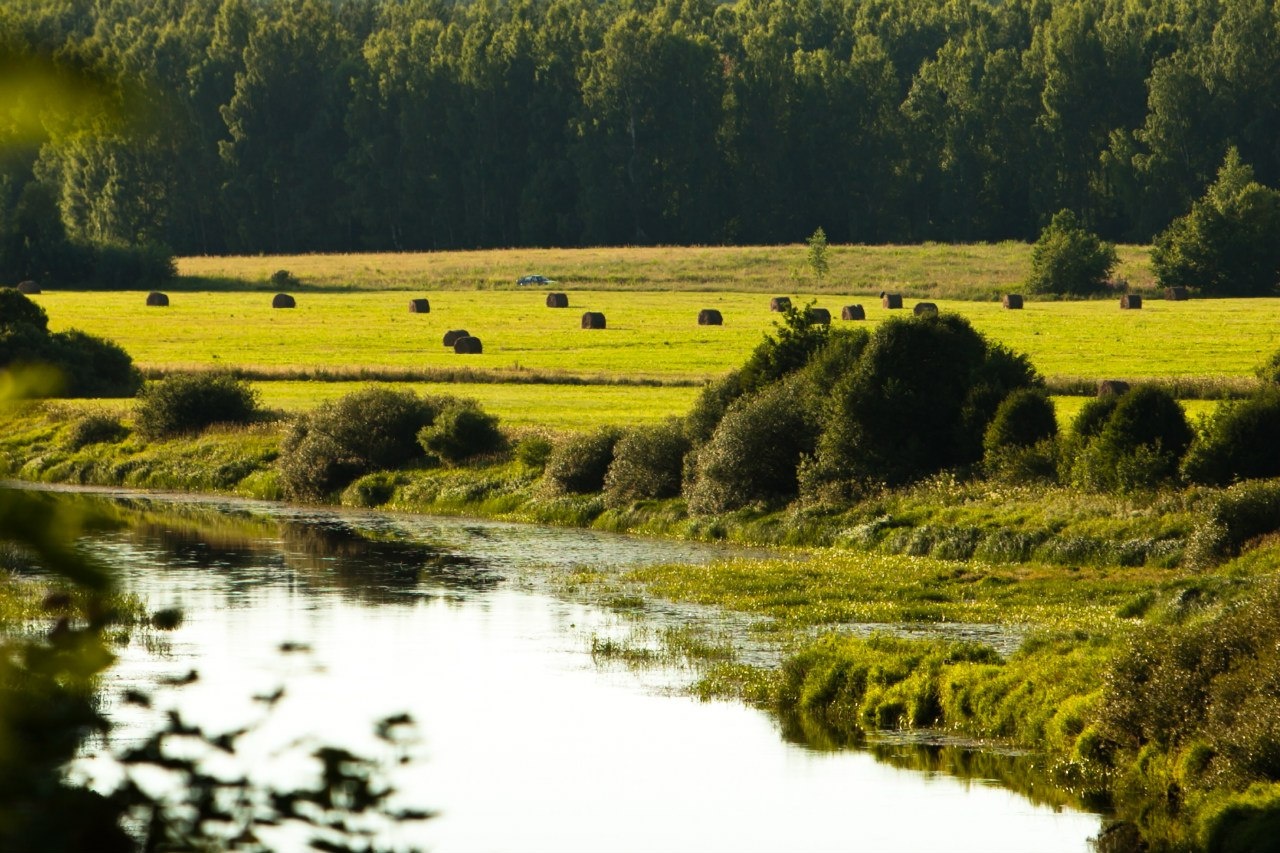 Фото Гостевая усадьба Тригорская 1