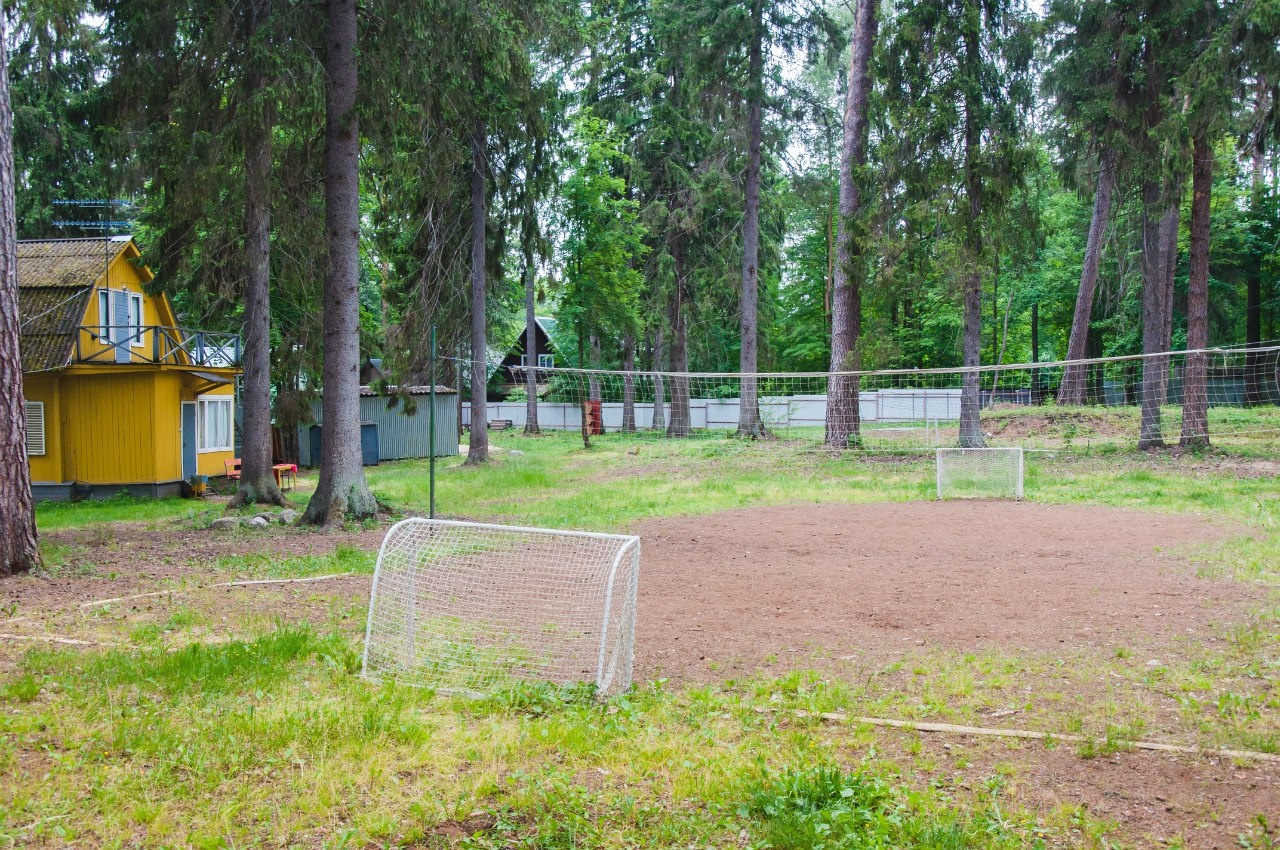 Фото Лесная дача