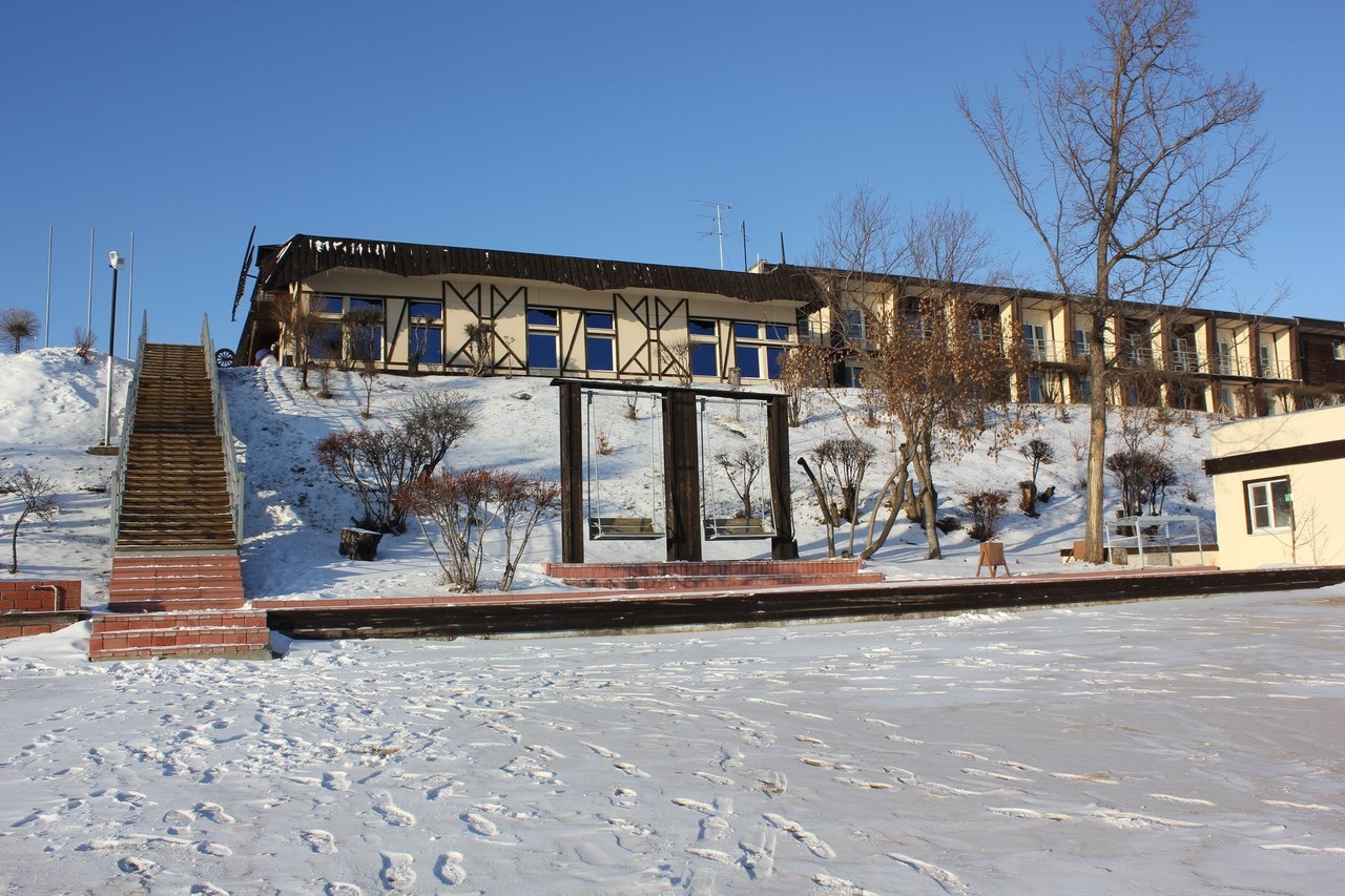 Фото Подсолнух