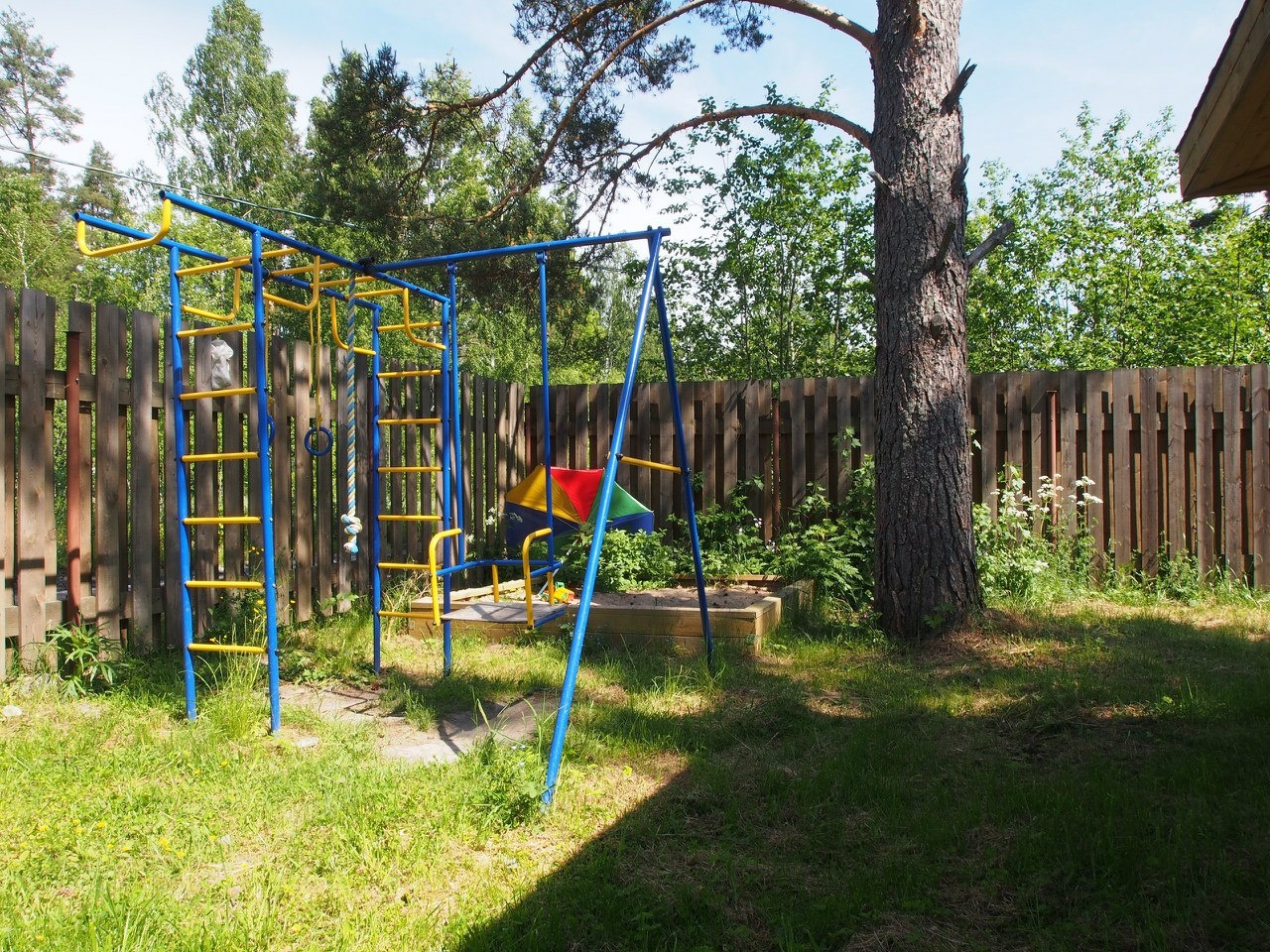 Фото Беличье