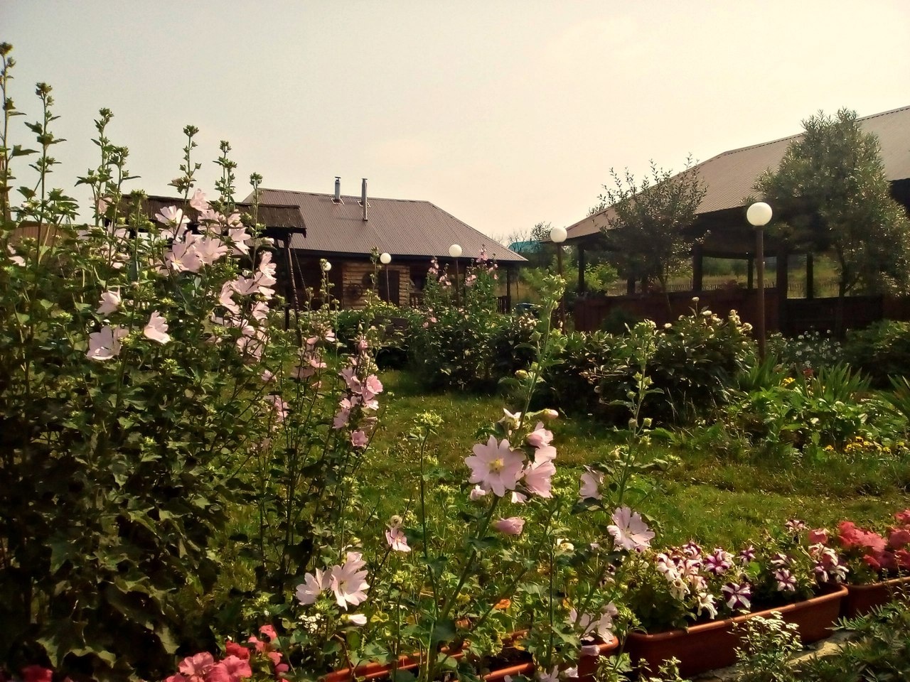 Фото АсылЪяр