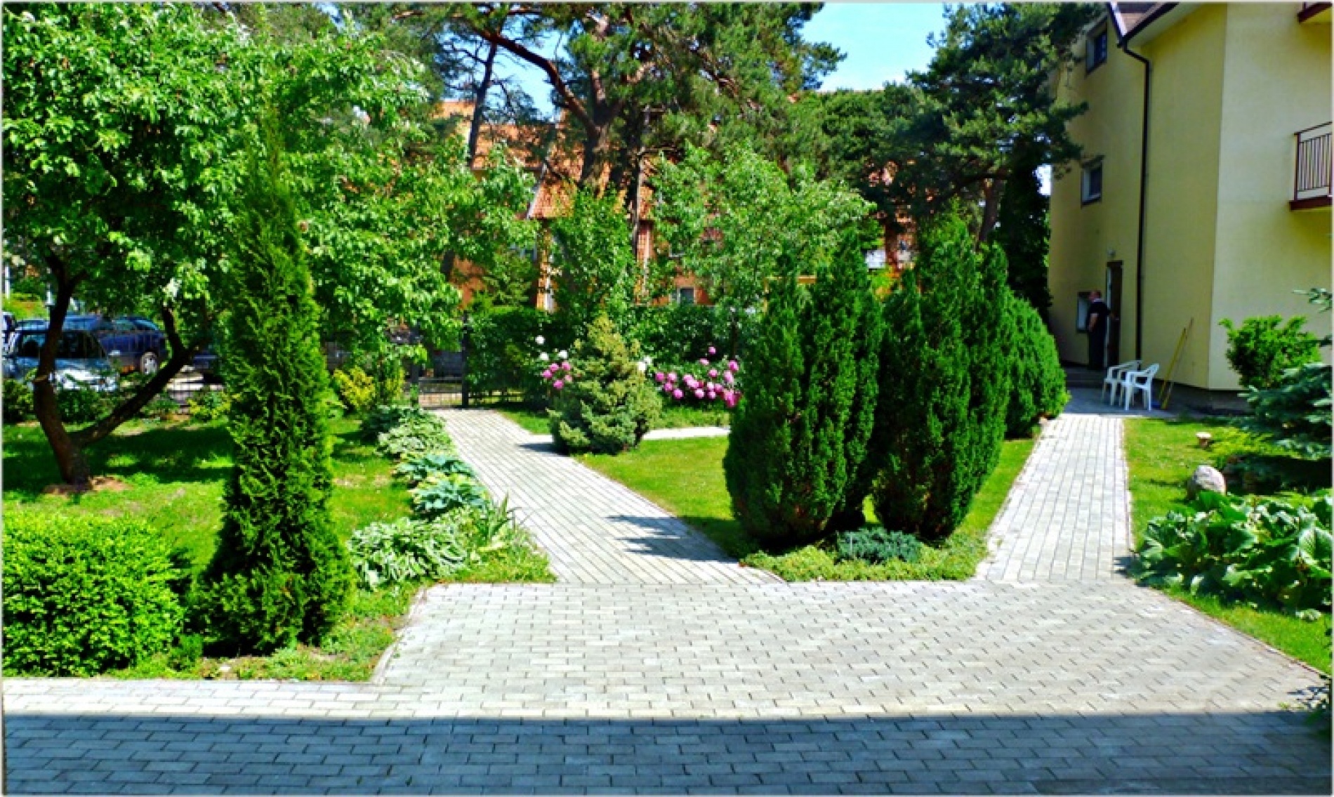 Фото Понарт