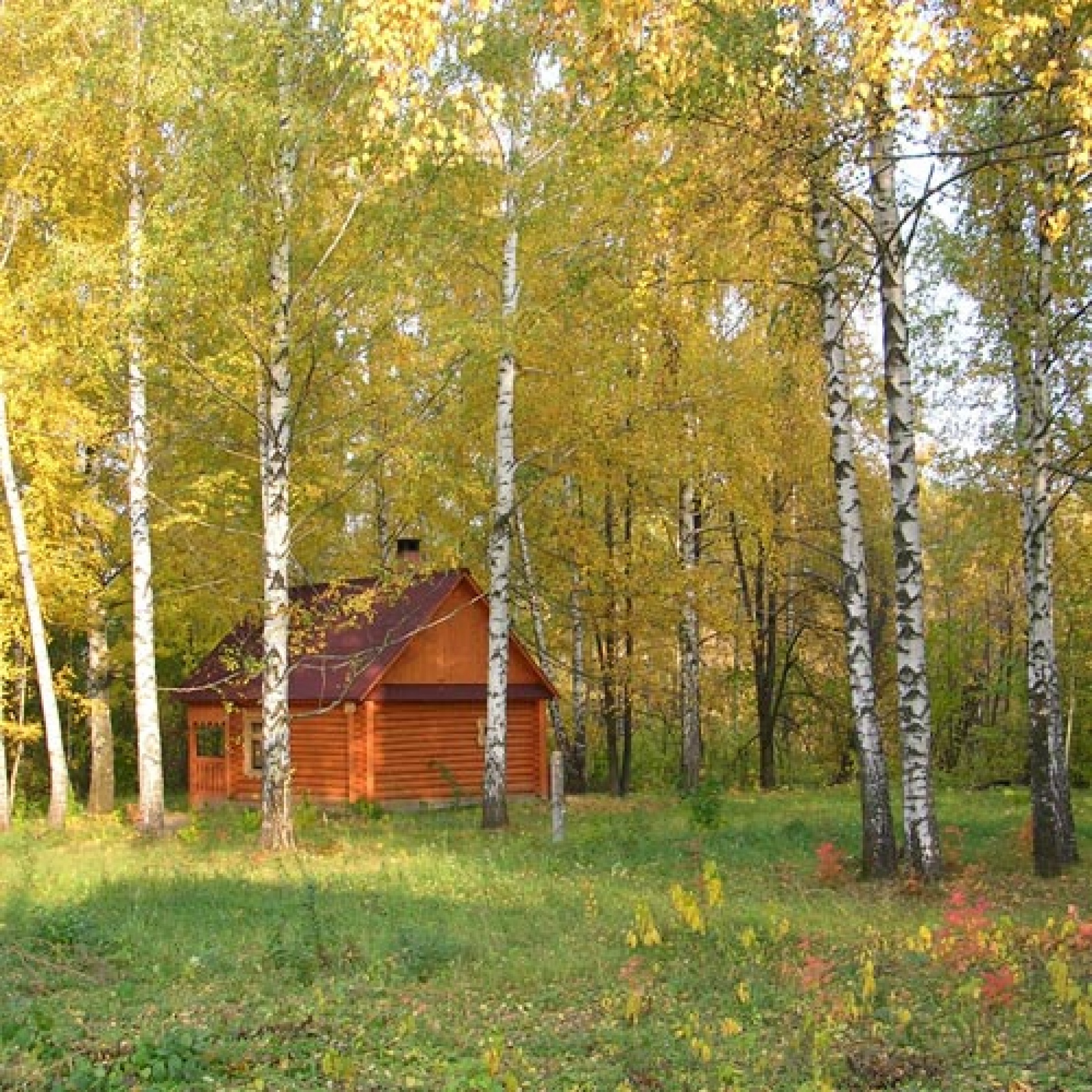 Фото Васильсурский